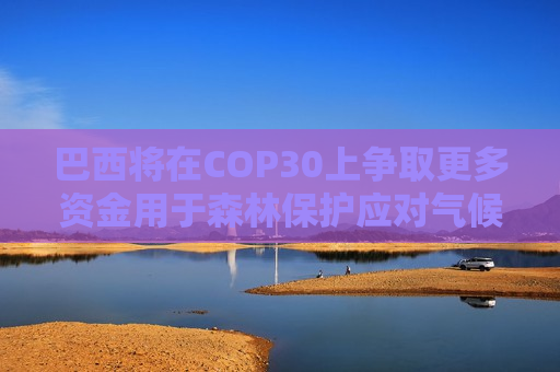 巴西将在COP30上争取更多资金用于森林保护应对气候变化