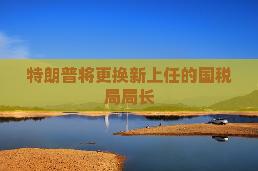 特朗普将更换新上任的国税局局长