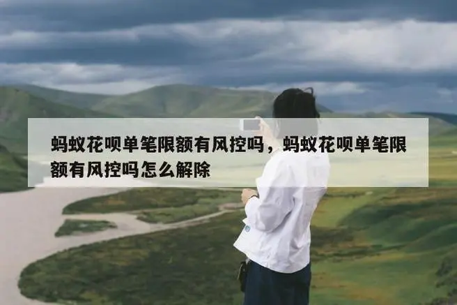 蚂蚁花呗额度套现秒到方式：2024最新兑现技巧揭秘